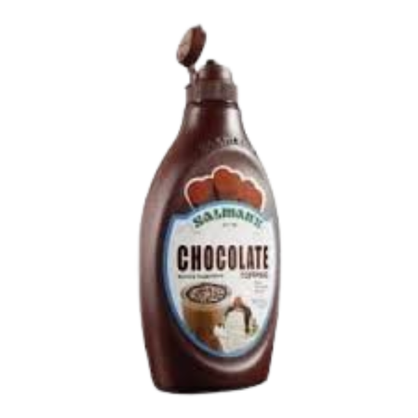 SALMANS SYRUP CHOCOLATE FLAVOUR TOPPING