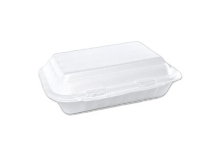 Thermocol Boxes LP 19 | Pack of 24