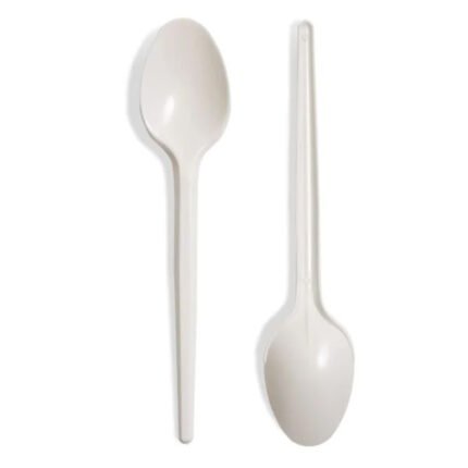 Disposable Clear Plastic Spoon Set – Pack of 100