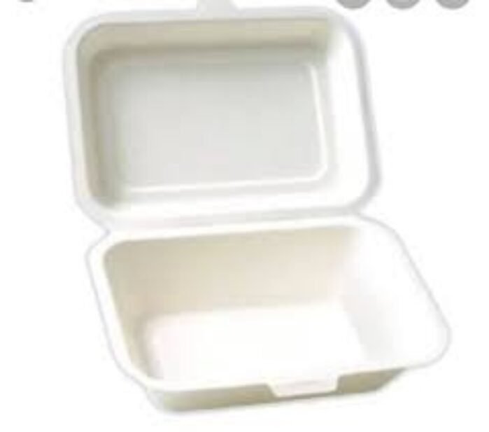 Thermocol Boxes LP 28 | Pack of 24