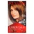 Revlon Color #54 Light Golden Brown