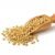 Pure High-Quality Dhaniya Whole (دھنیا ثابت) – 1kg